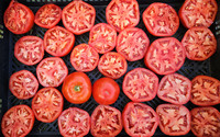 Goodie Tomato